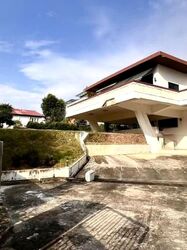 Leedon Park (D10), Detached #633540451